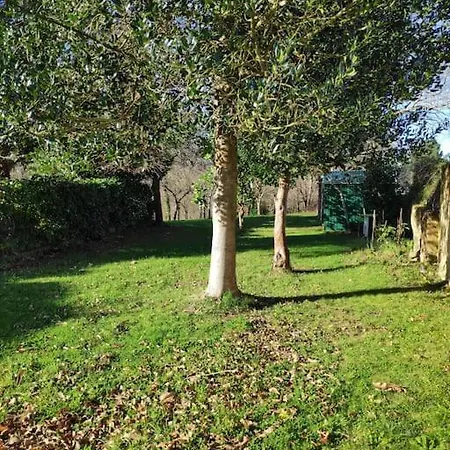 La Huerta De Casa Ofelia Vakantiehuis